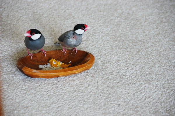 ラララライフ | llllife