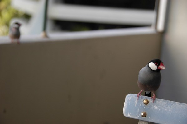 ラララライフ | llllife