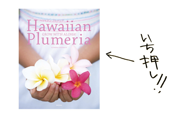 ラララライフ | llllife