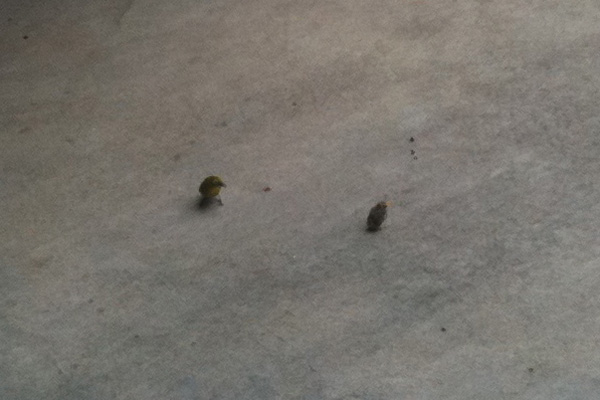 ラララライフ | llllife