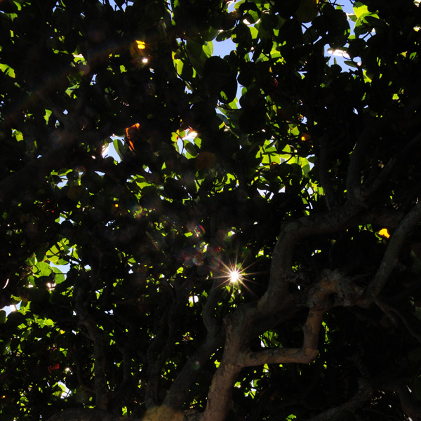 ラララライフ | llllife