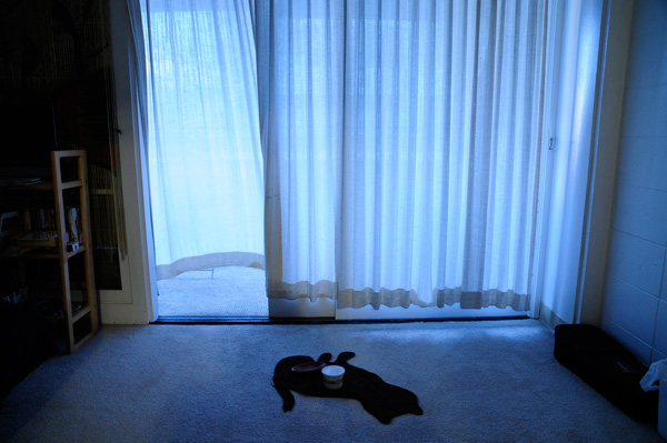 ラララライフ | llllife