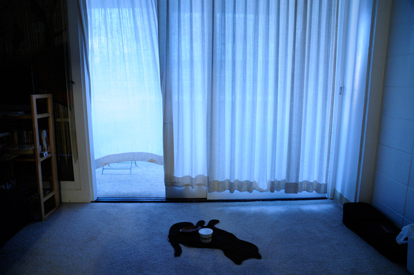 ラララライフ | llllife