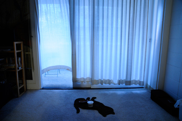 ラララライフ | llllife