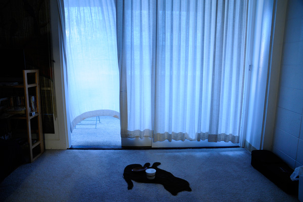 ラララライフ | llllife