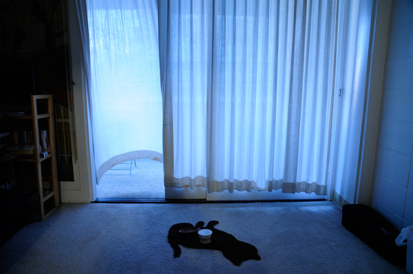 ラララライフ | llllife