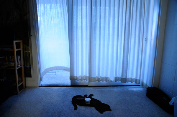 ラララライフ | llllife