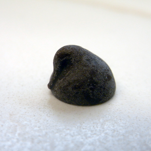 ラララライフ | llllife