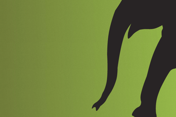 ラララライフ | llllife