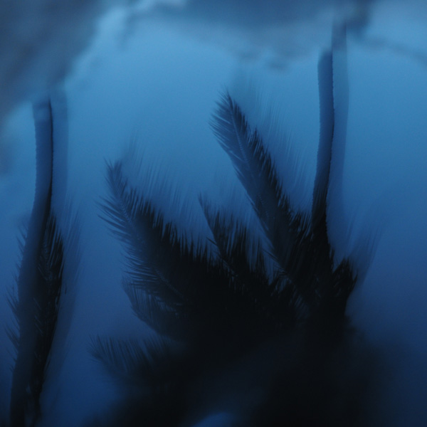 ラララライフ | llllife