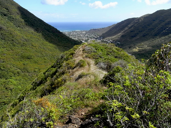 ラララライフ | llllife