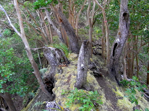 ラララライフ | llllife