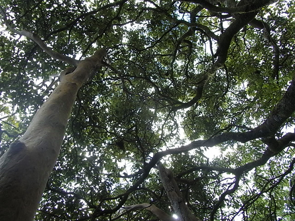 ラララライフ | llllife