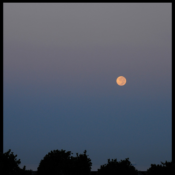 月｜ラララハワイ生活。