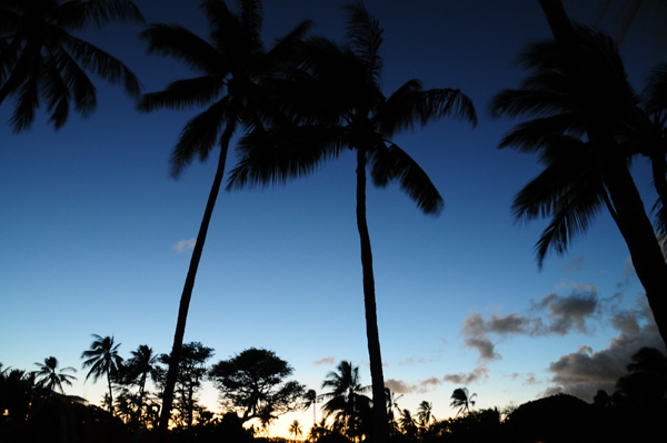 ラララライフ | llllife