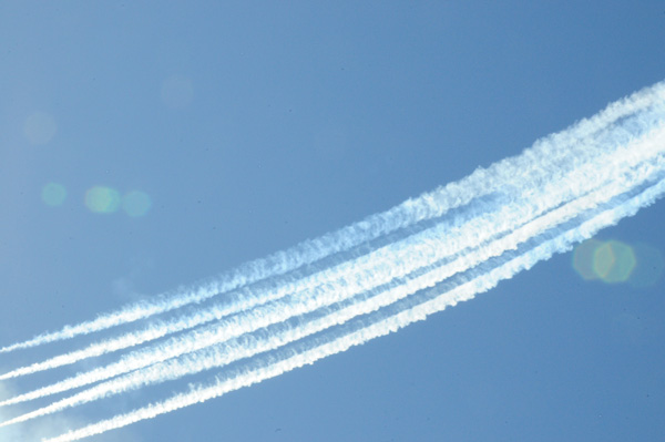 ブルーエンジェルス | llllife