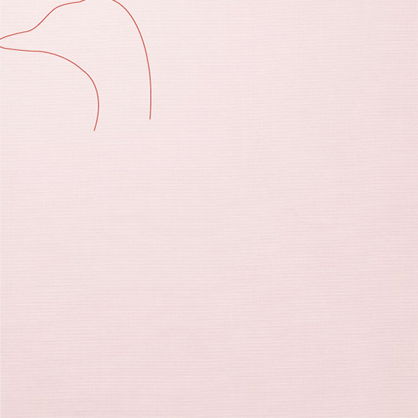 鳥 | ラララハワイ生活。