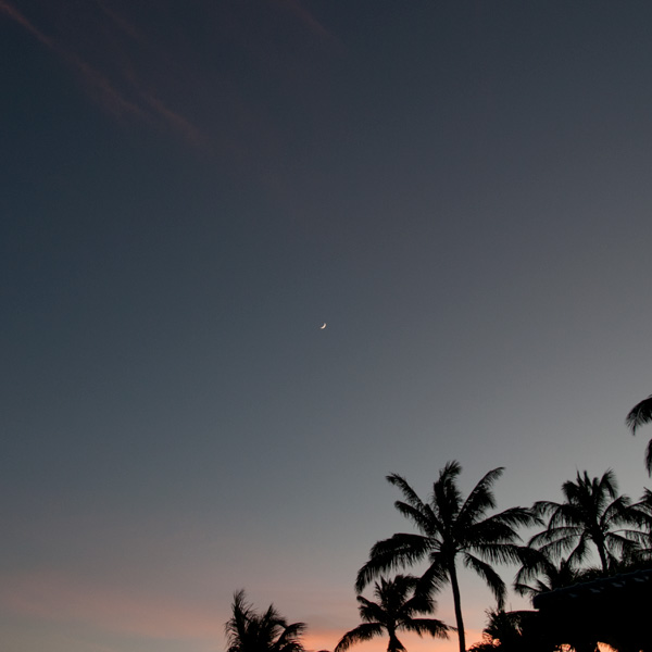 悲しそうな月 | ラララハワイ生活。