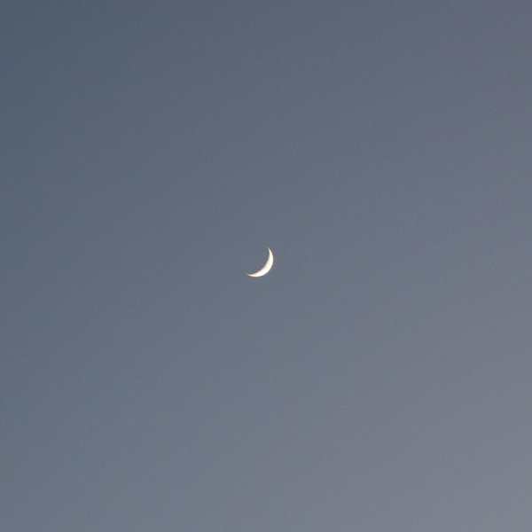 悲しそうな月 | ラララハワイ生活。