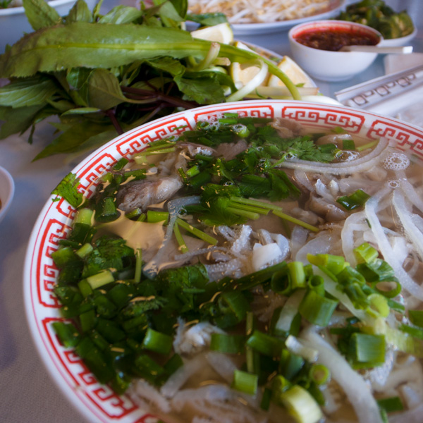 トーチャウ ハワイ | LLLLIFE,INC.