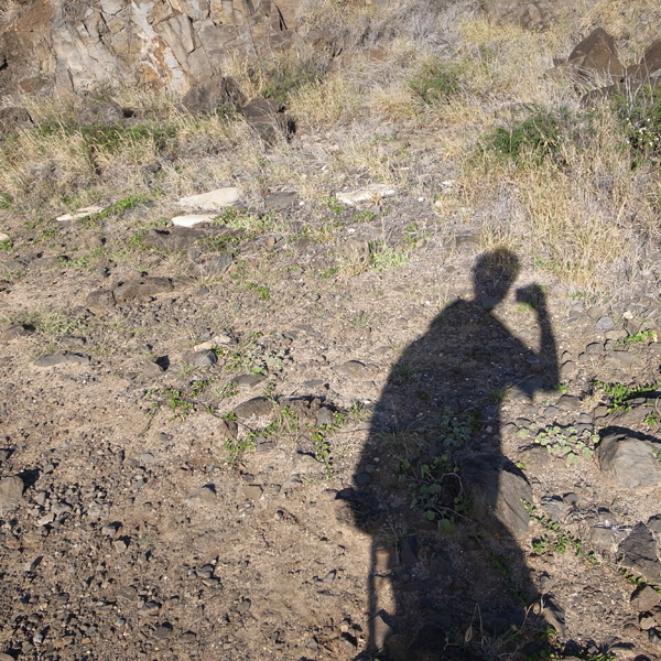 カエナポイント | ラララハワイ生活。