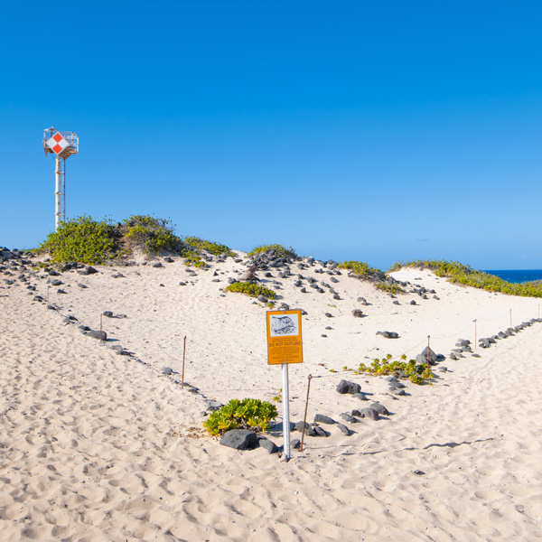 カエナポイント | ラララハワイ生活。