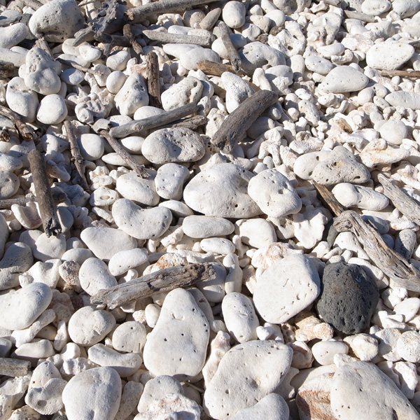 カエナポイント | ラララハワイ生活。