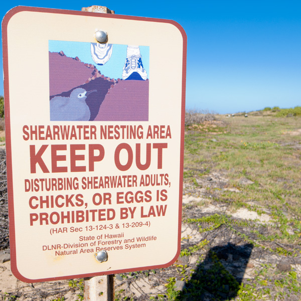 カエナポイント | ラララハワイ生活。