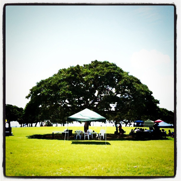 Pray for Japan from Hawaii