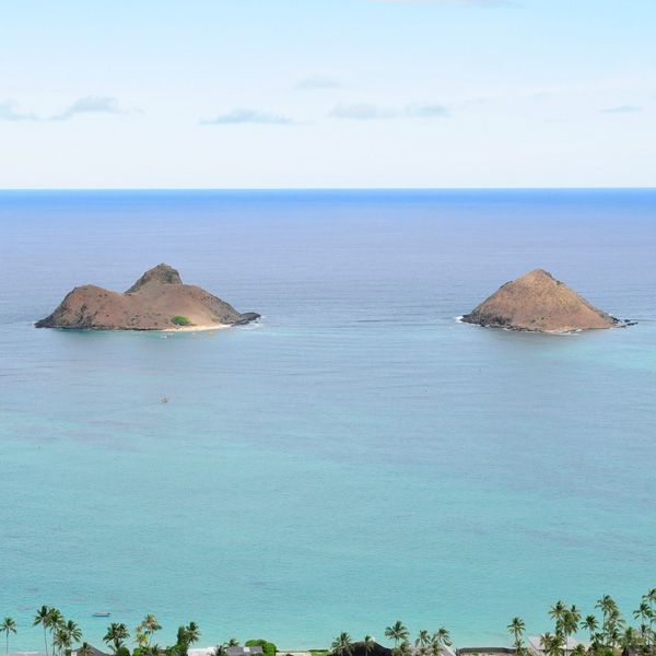 ひとりよりふたり。｜ラララハワイ生活。