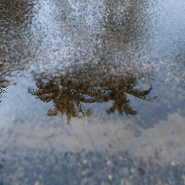 雨の日。| ラララハワイ生活。