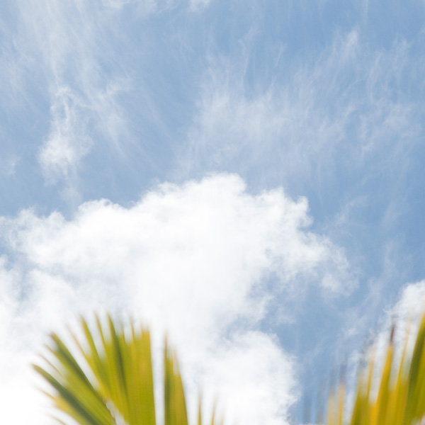 日曜日。| ラララハワイ生活。