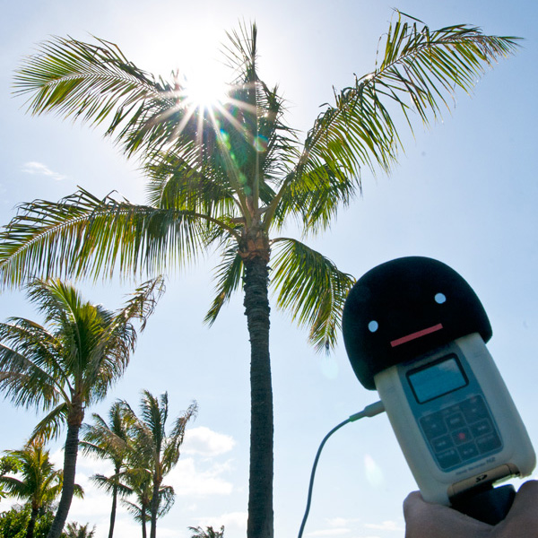 世界・音の旅。