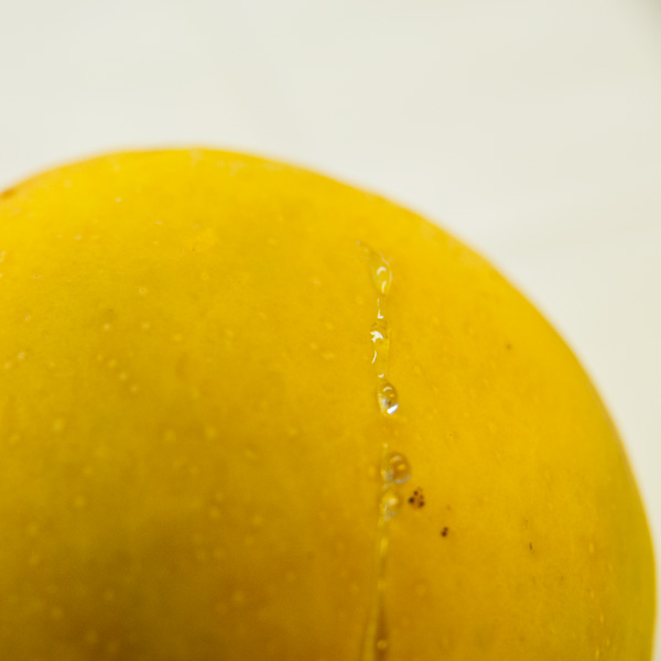 マンゴの季節。| ラララハワイ生活。