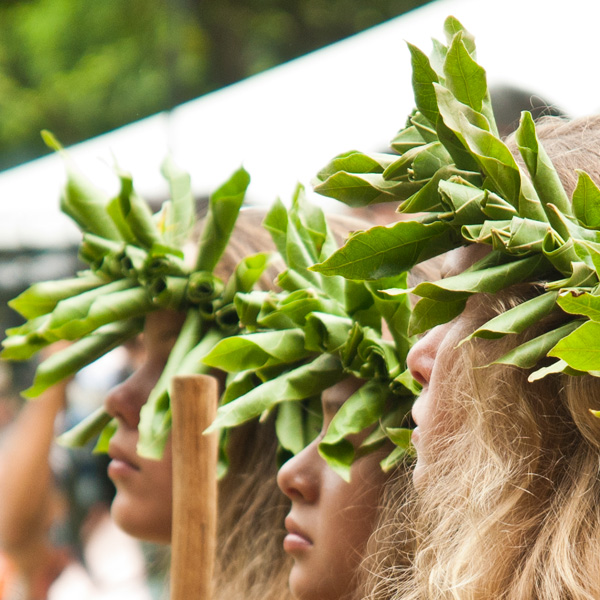 新しいレンズが欲しい。| ラララハワイ生活。