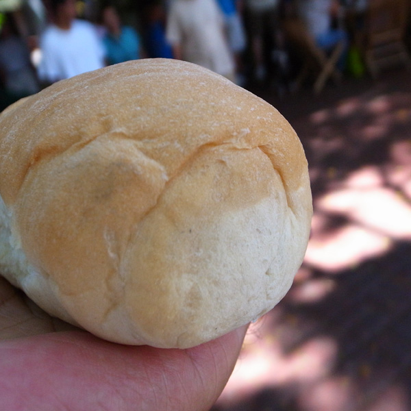 プカドッグ | PUKA DOG