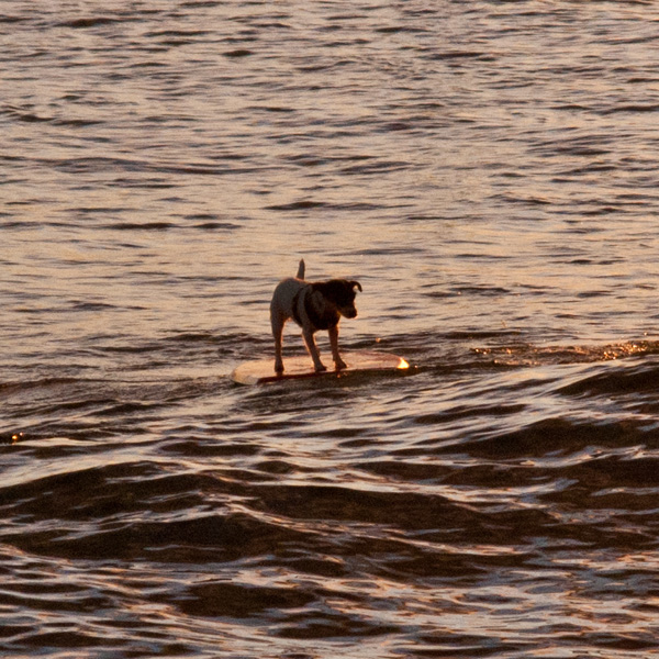ワイキキにて。