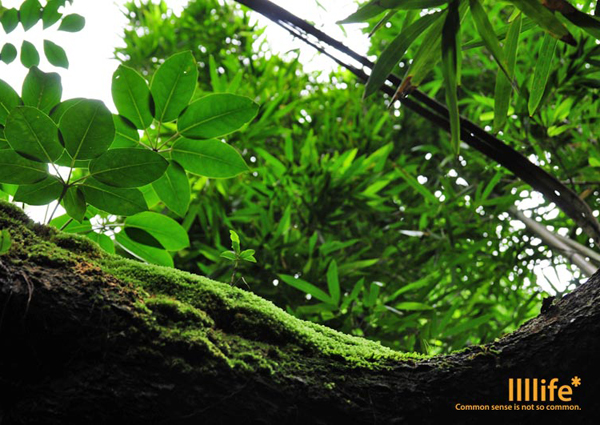 自然は全て繋がっている。| llllife: ken munakata