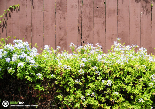 Kids. | llllife: ken munakata