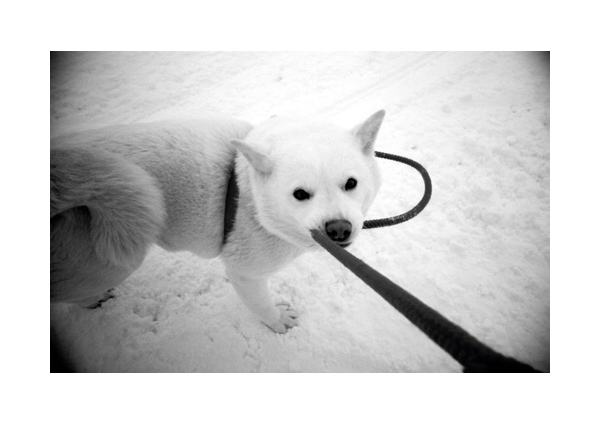 Board People | llllife:ken munakata