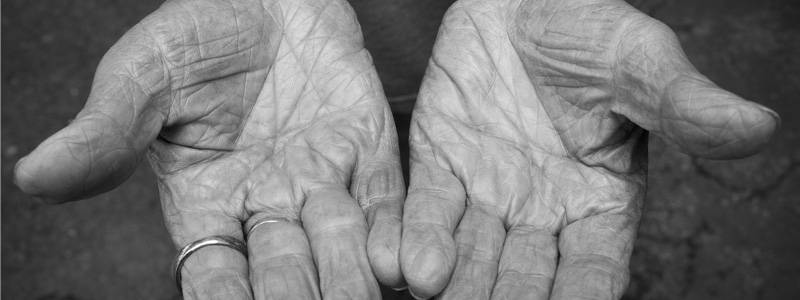 ホームページ制作はハワイ ラララライフ | LLLLIFE,INC